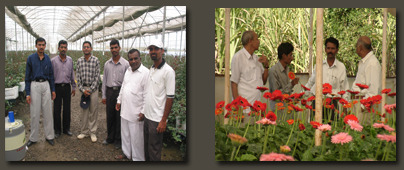 farmers